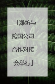 潍坊与跨国公司合作对接会举行